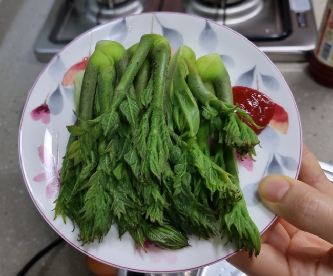 귀한 참두릅 샤부샤부 해먹기 참두릅이라 더 귀하고 값진 것