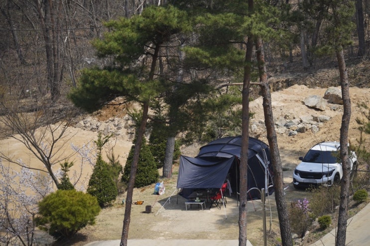 [캠핑] 재방문 의사 -100% 마로니에숲 캠핑장