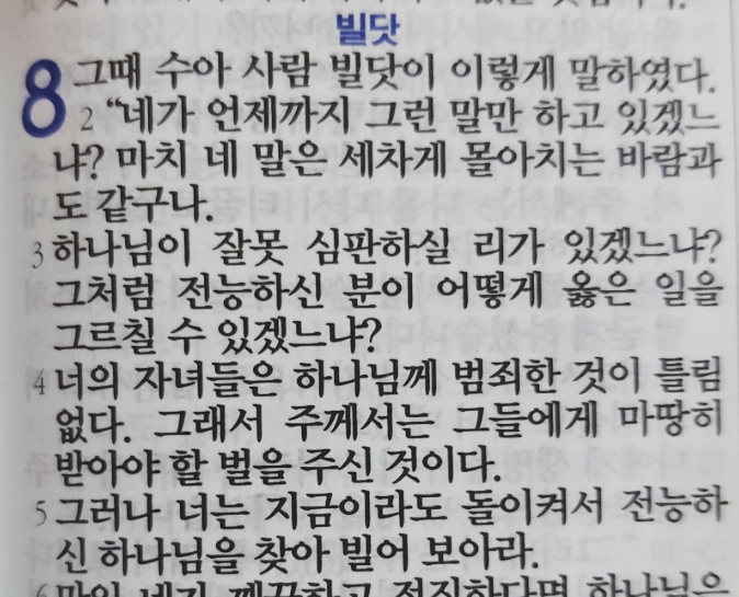 욥의 시련(욥기) 8장 욥의 시련(욥기) 8장
