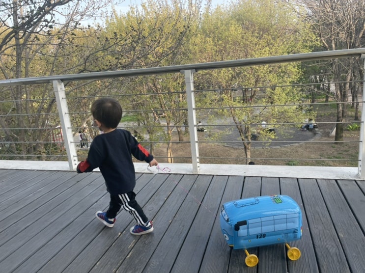  서울숲으로 벚꽃구경가요!