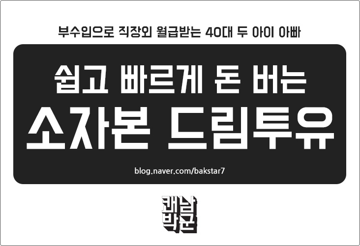  쉽고 빠르게 돈버는 소자본 드림투유