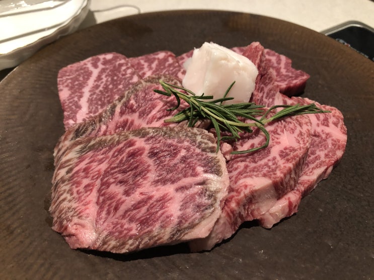  강남 소고기 맛집 데이트 | 서울로인 강남N점