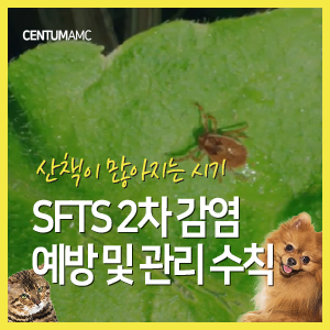  강아지 고양이 보호자님을 위한 중증열성혈소판감소증후군 SFTS 2차 감염 예방 및 관리 수칙 (부산 수영 연산 센텀동물메디컬센터)