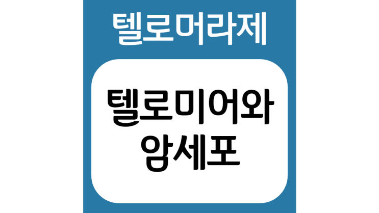  [YTN사이언스_핫클릿] 암 세포의 증식을 막으려면?