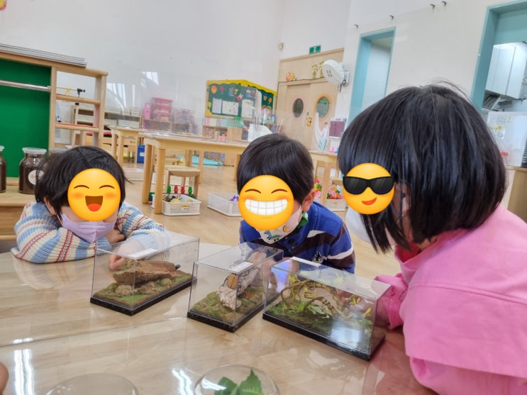  김포곤충체험농장(꿈꾸는파브르)~석정초병설유치원
