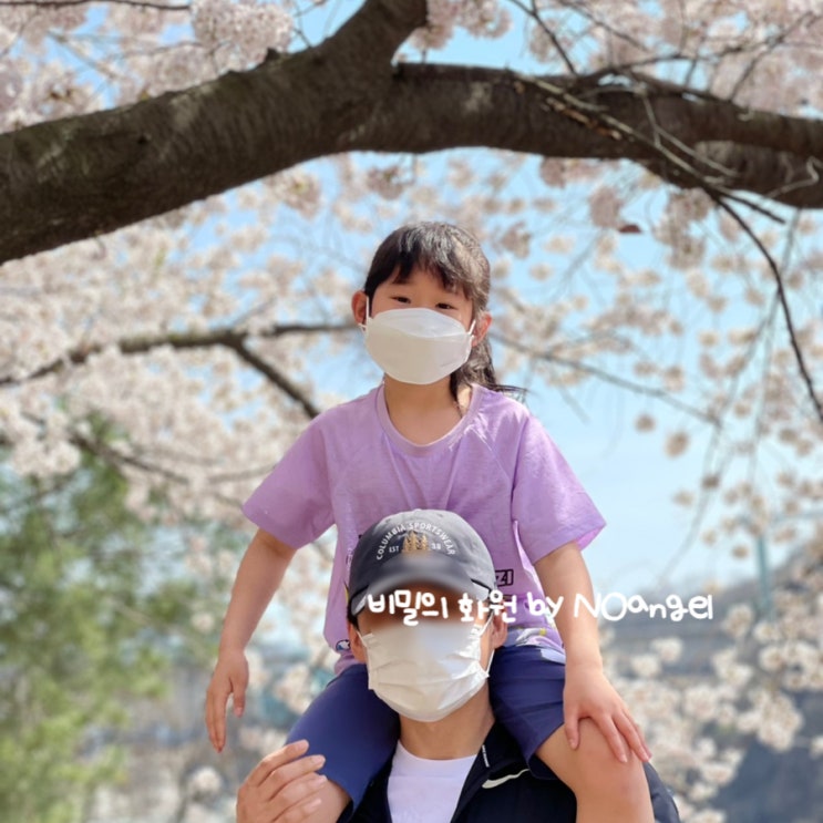  충주댐 벚꽃 보고 숲놀이터에서 놀고 주차와 점심까지
