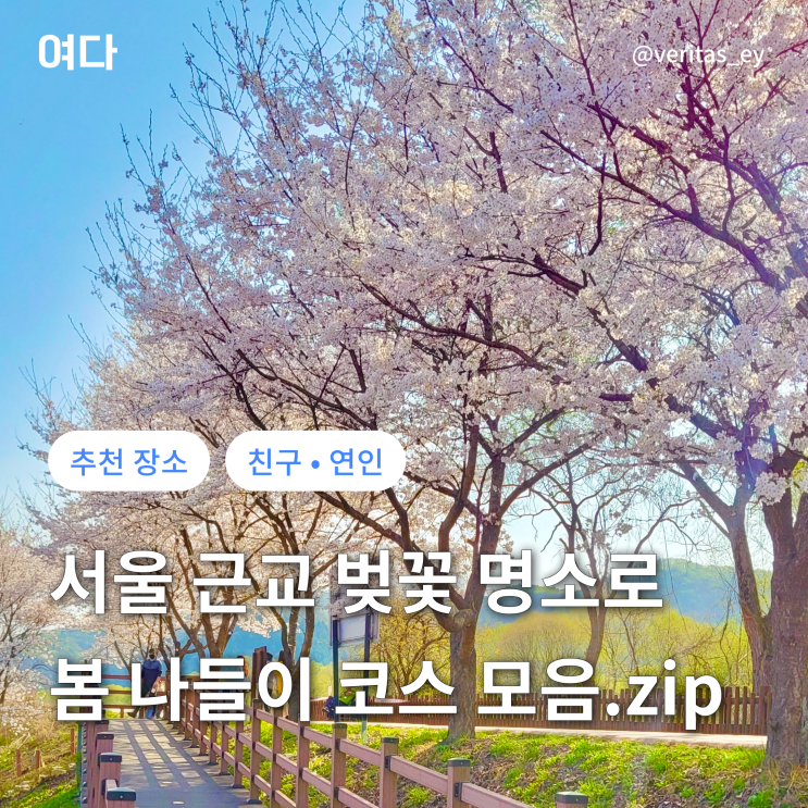 [추천 여행지] 서울 근교 벚꽃 명소를 포함한 봄 나들이 코스 추천