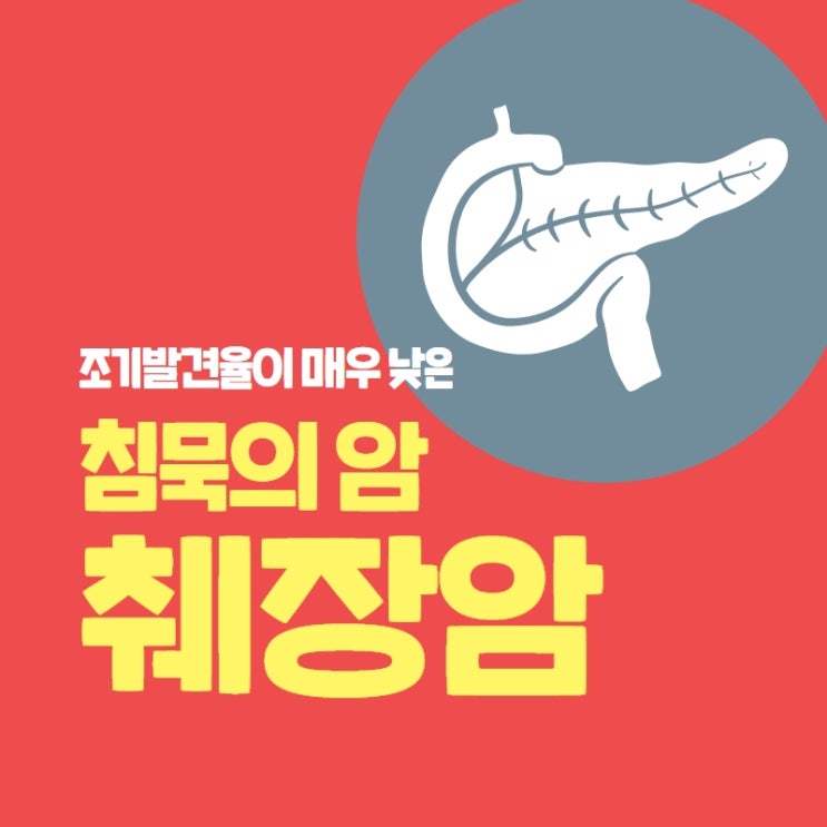  조기발견율이 낮은 침묵의 암 췌장암 원인 증상