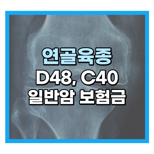  연골육종 D48 C40 일반암 보험금 받아야 합니다.