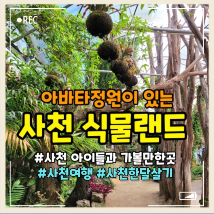  아바타정원이 있는️사천식물랜드 사천여행 아이들과 가볼만한곳 사천한달살기