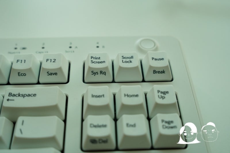 리얼포스 R3 R3HD21 - REAL FORCE R3 TKL 45g 리뷰(R2와 비교) : 네이버 블로그