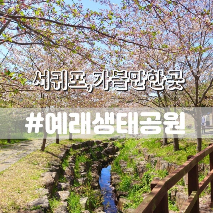 예래생태공원 예래생태체험관/ 제주여행 서귀포가볼만한곳 추천