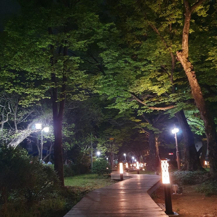  9km 조깅 860칼로리 소모 1시간 33분 운동