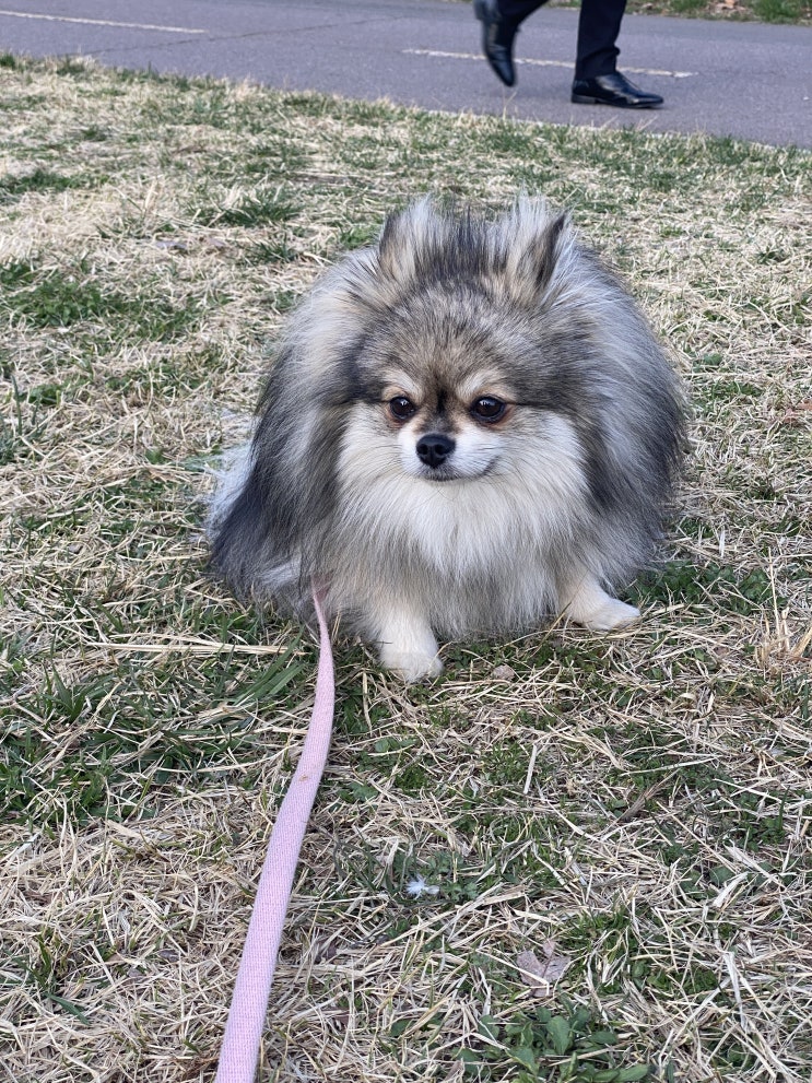  선한 표정의 꾸꾸