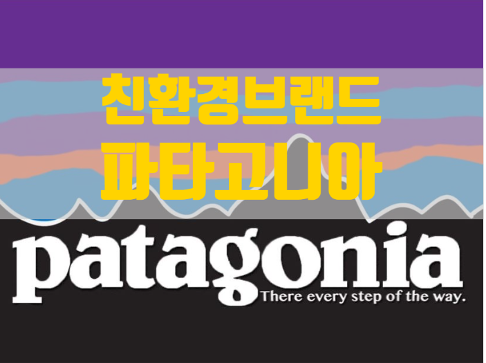  친환경 브랜드 파타고니아 Don't buy this Jacket