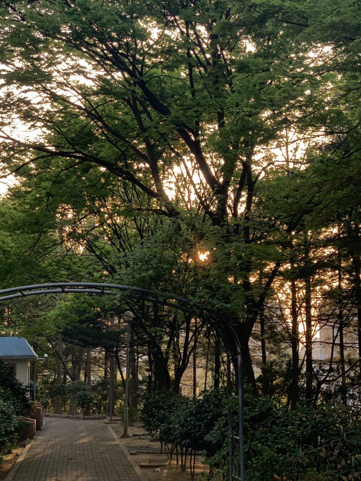 spring time