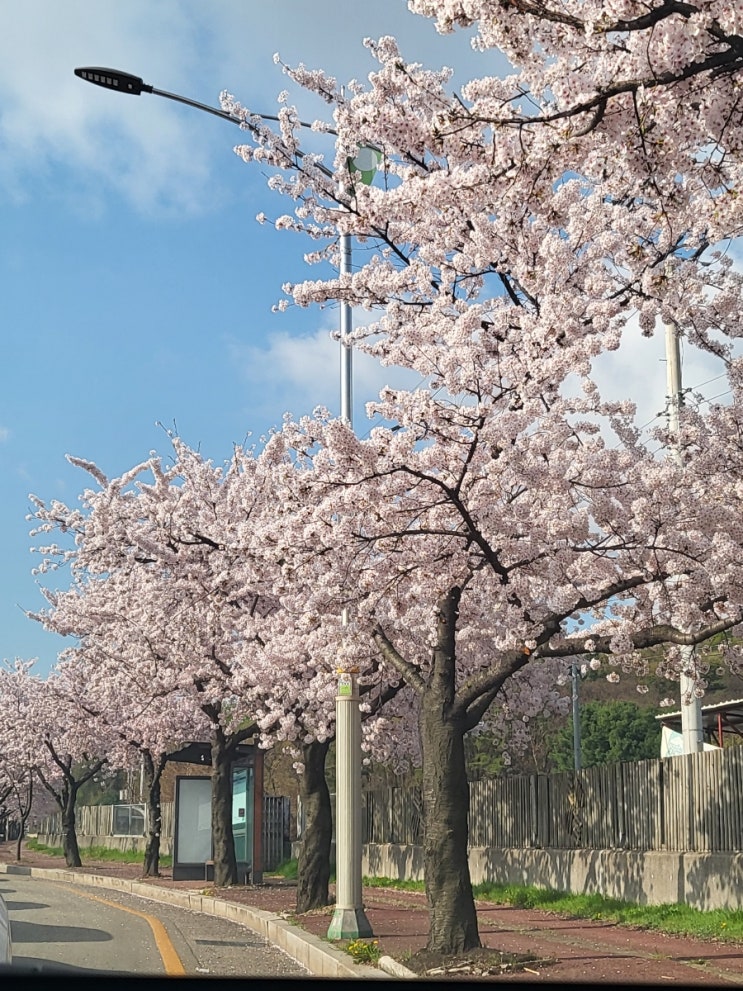 2022년 4월 일상 기록