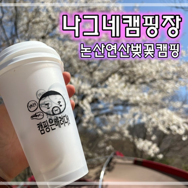  논산연산군벚꽃캠핑장 연산나그네캠핑장에서 벚꽃구경했어요.