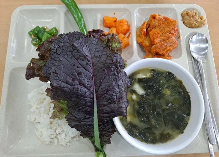  4월 11일 점심메뉴