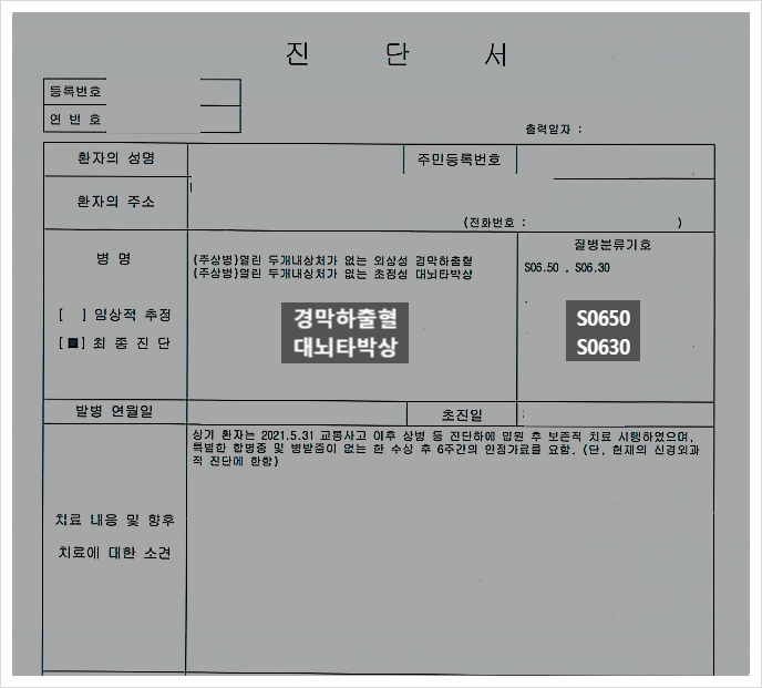  신호등 없는 횡단보도 교통사고로 외상성 뇌출혈 및 반시야 장애 맥브라이드 후유장해 손해액 산정
