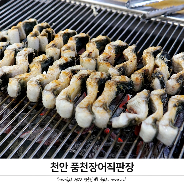 천안맛집 유량동 장어 맛집 풍천장어직판장 든든하고 배부르다! 천안맛집 유량동 장어 맛집 풍천장어직판장 든든하고 배부르다!