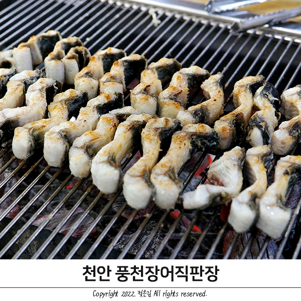 천안맛집 유량동 장어 맛집 풍천장어직판장 든든하고 배부르다!