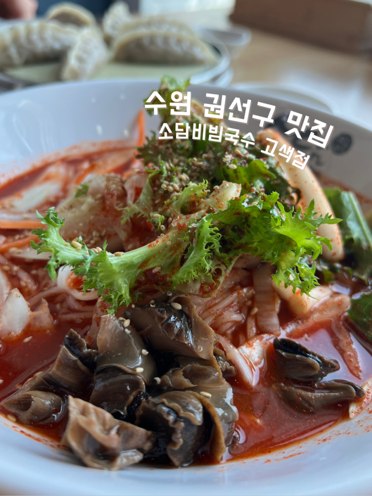  수원 권선구 맛집 소담비빔국수 고색점, 깔끔한 한 끼 식사로 딱!