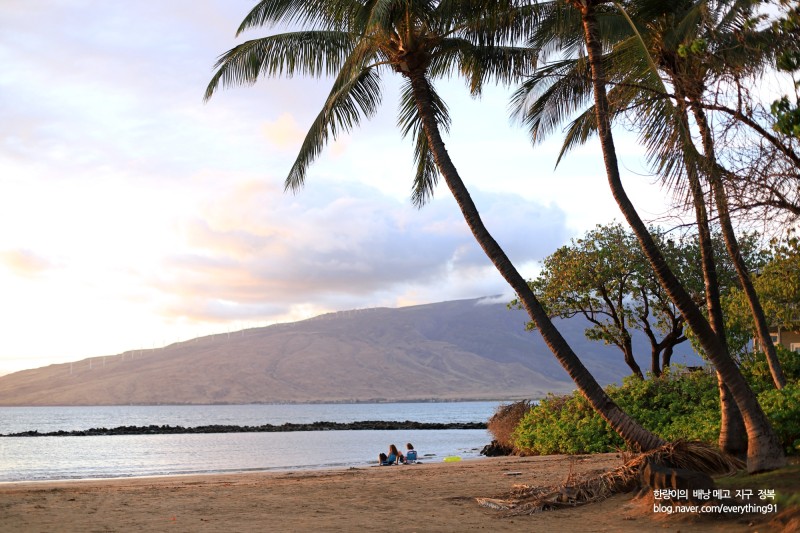 하와이 렌트카 와이키키 인수 반납 위치 + 마우이 빅아일랜드