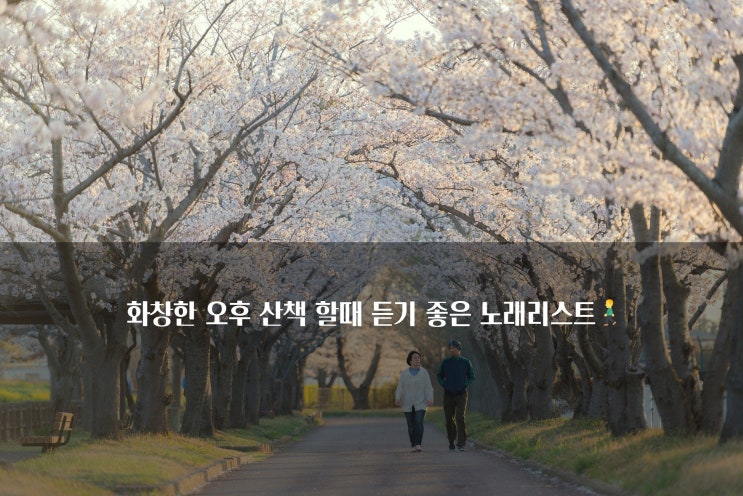  햇살이 따듯한 오후어느날 ️산책할때 듣기좋은 노래리스트