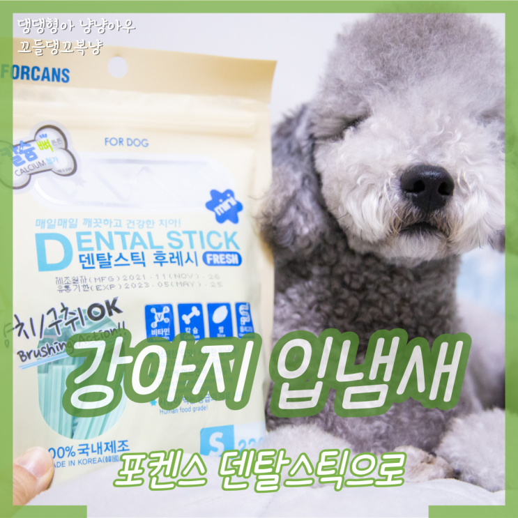 강아지 입냄새 제거 포켄스 덴탈스틱 후레쉬로 급여했어요