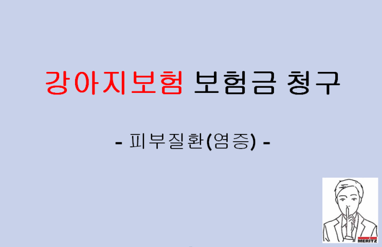  강아지보험 가입후 계속된 피부염증으로 보험금 청구 후기