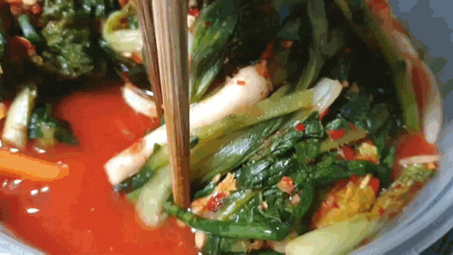  박가네 김치, 마트 김치 못지 않은 김치 쇼핑몰, 열무김치 맛있었어요
