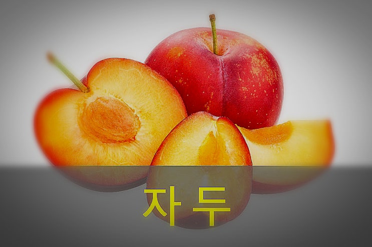  자두의 대표적인 효능과 부작용, 영양성분