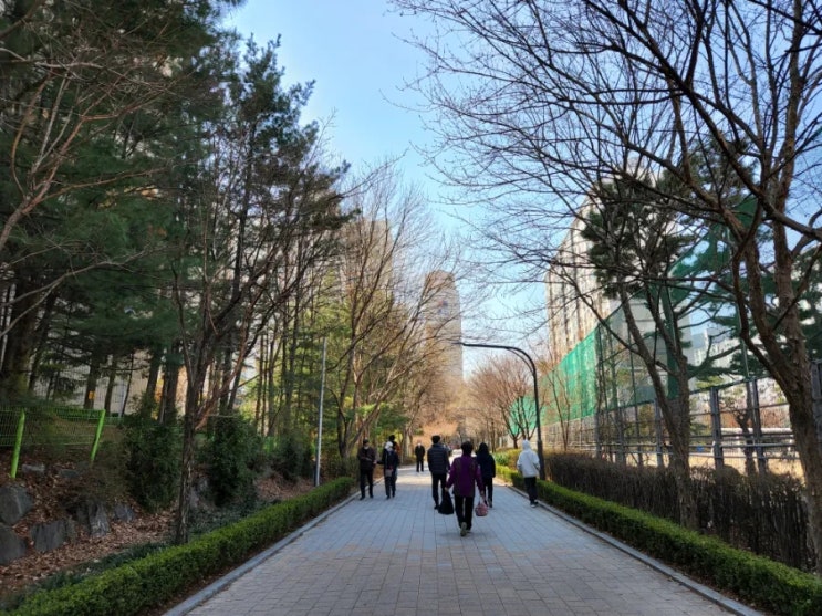  수원 영통역 인근 MZ세대들의 부동산 임장 스터디 & 낮맥 #프립후기