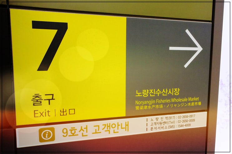 킹크랩 대개전문점 찾을 때 노량진수산시장킹크랩 대신꽃게