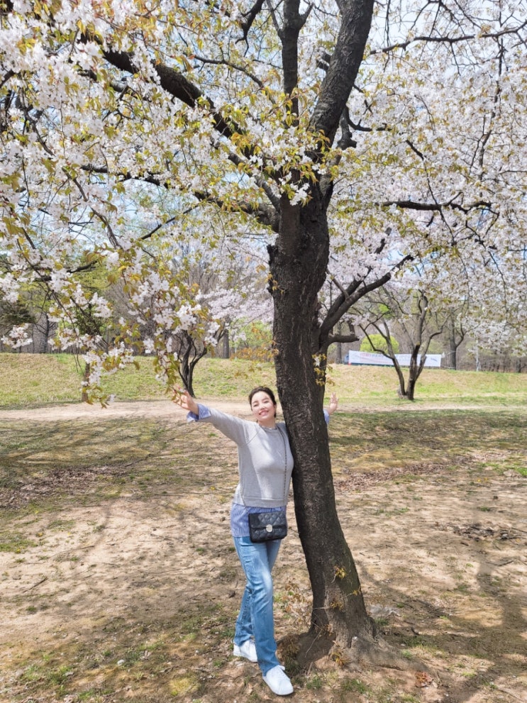  부곡동 벚꽃길 LED 수국공원