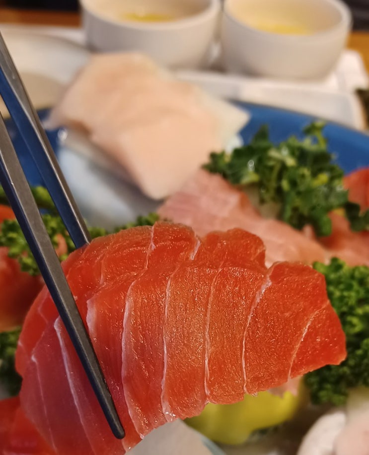  참치 마니아라면 강릉 교동 택지 참치와 초밥이 맛있는 집 독도 참치 전문점에서
