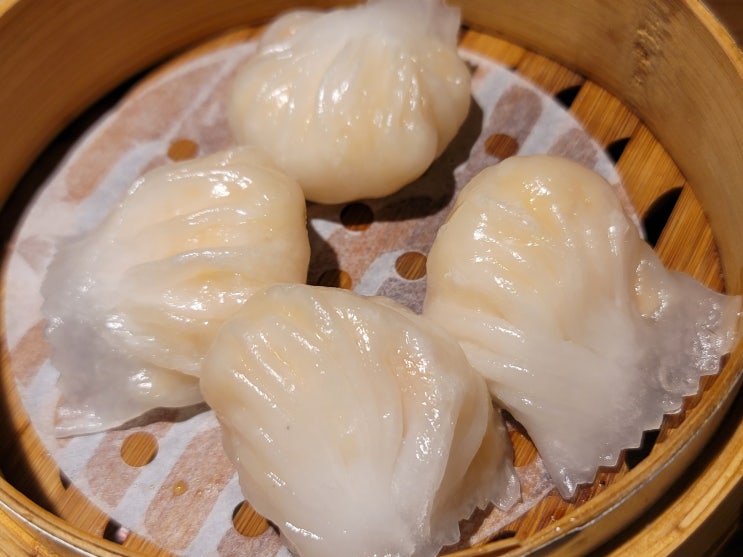 서초구 신반포로 고속버스터미널 탐방 숨은 딤섬 맛집 고터 딤딤섬 센트럴시티점 서초구 신반포로 고속버스터미널 탐방 숨은 딤섬 맛집 고터 딤딤섬 센트럴시티점