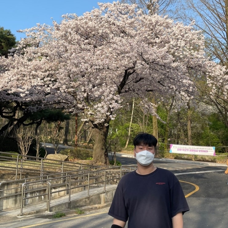 아무얘기 77 - 서대문구 안산 자락길/안산벚꽃길 벚꽃 구경(22.04.11) 아무얘기 77 - 서대문구 안산 자락길/안산벚꽃길 벚꽃 구경(22.04.11)