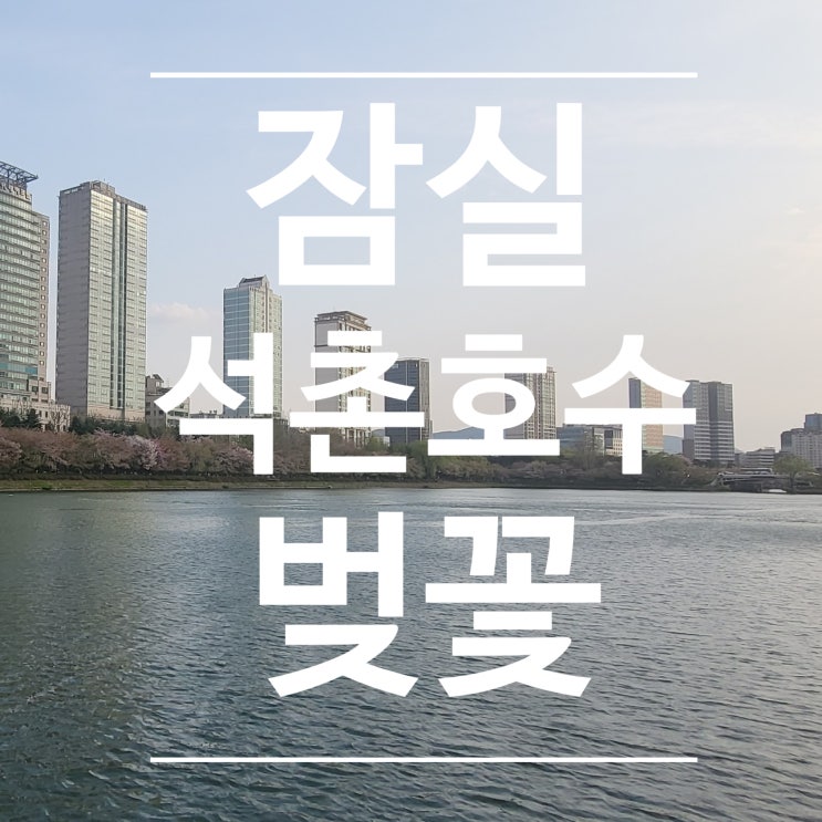  서울벚꽃명소 잠실역 석촌호수 벚꽃은 아직 있을까_벨리곰_갓잇