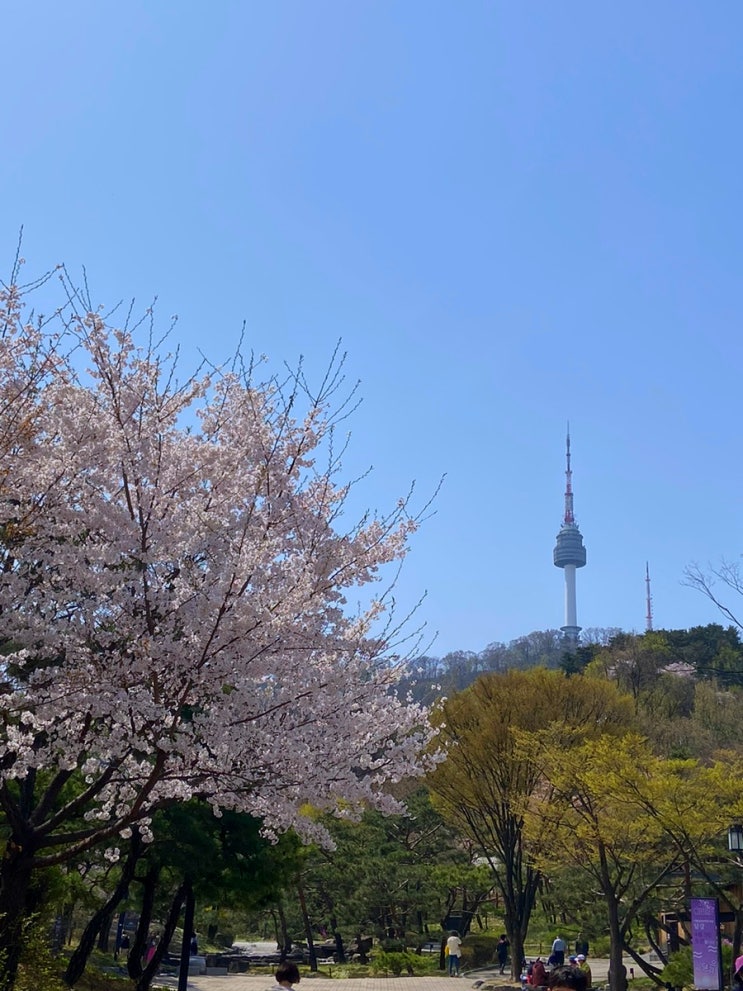  #2022 April; 벚꽃이 폈으면 공부해야지