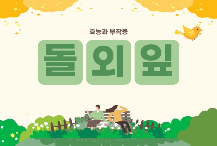 돌외잎 효능 부작용 체지방감소에 좋은 돌외잎추출물 돌외잎 효능 부작용 체지방감소에 좋은 돌외잎추출물