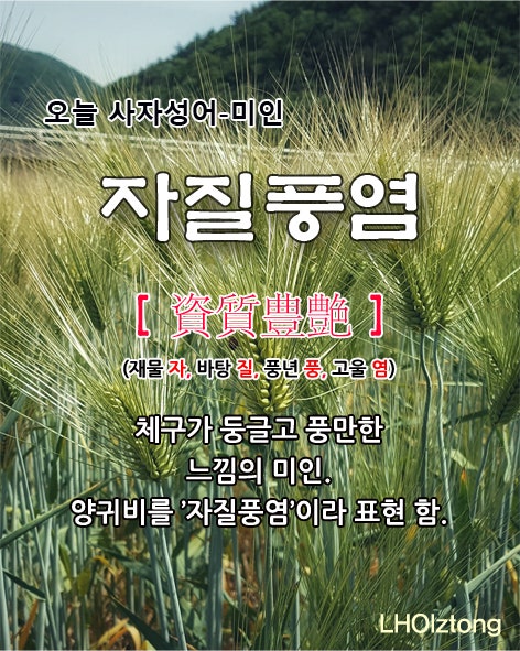  [832] 오늘 사자성어 자질풍염(資質豊艶)의 뜻은?
