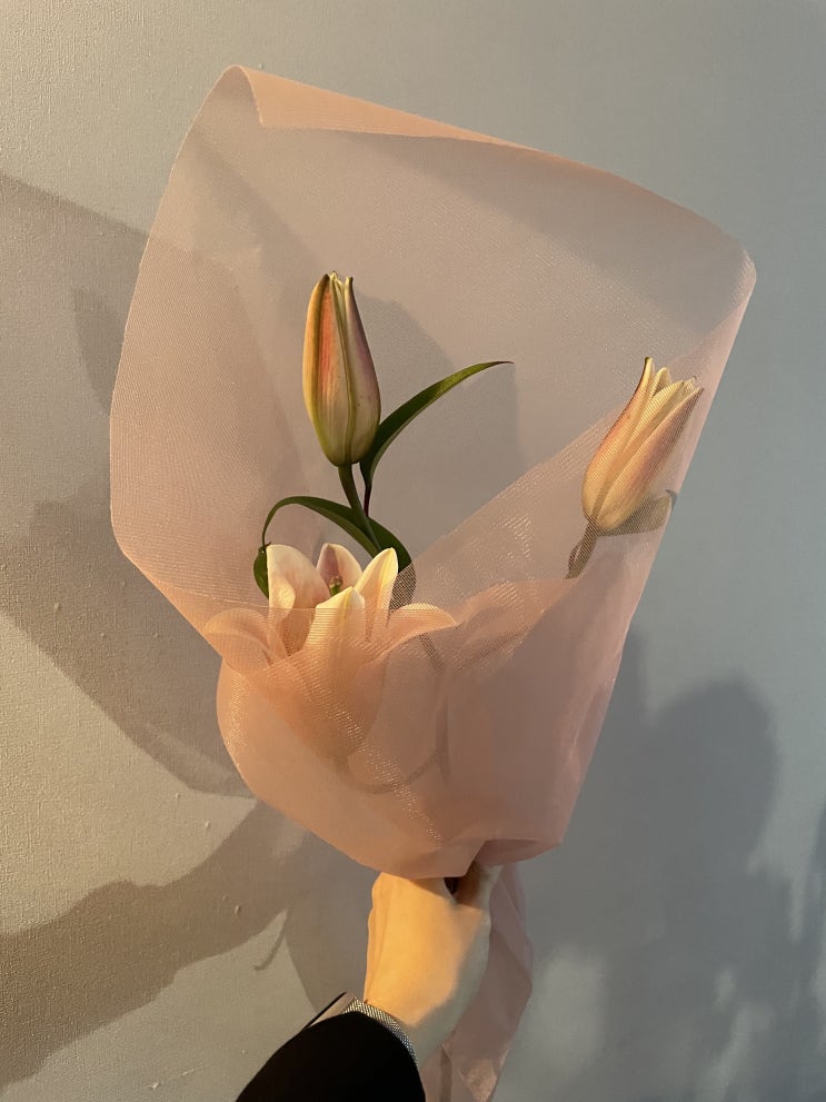  청담동꽃배달 모브가든 가성비좋고 이쁜 꽃 가득