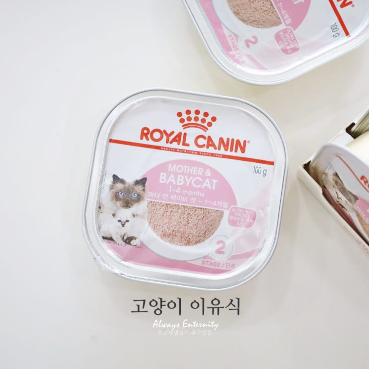  고양이 이유식 시작! 로얄캐닌 베이비캣 캔 (생후 5주 차)