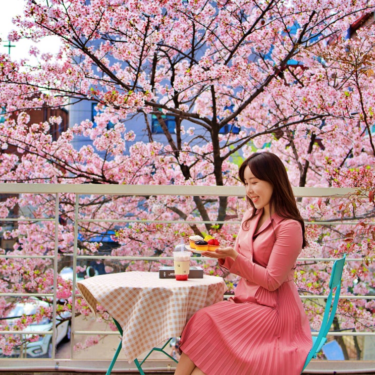 인생 벚꽃사진 합정 카페 키쉬미뇽, 서울 벚꽃뷰 카페