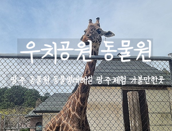  광주, 우치공원 동물원 동물생태해설을 들으며 광주에서 동물원탐방을 해보자