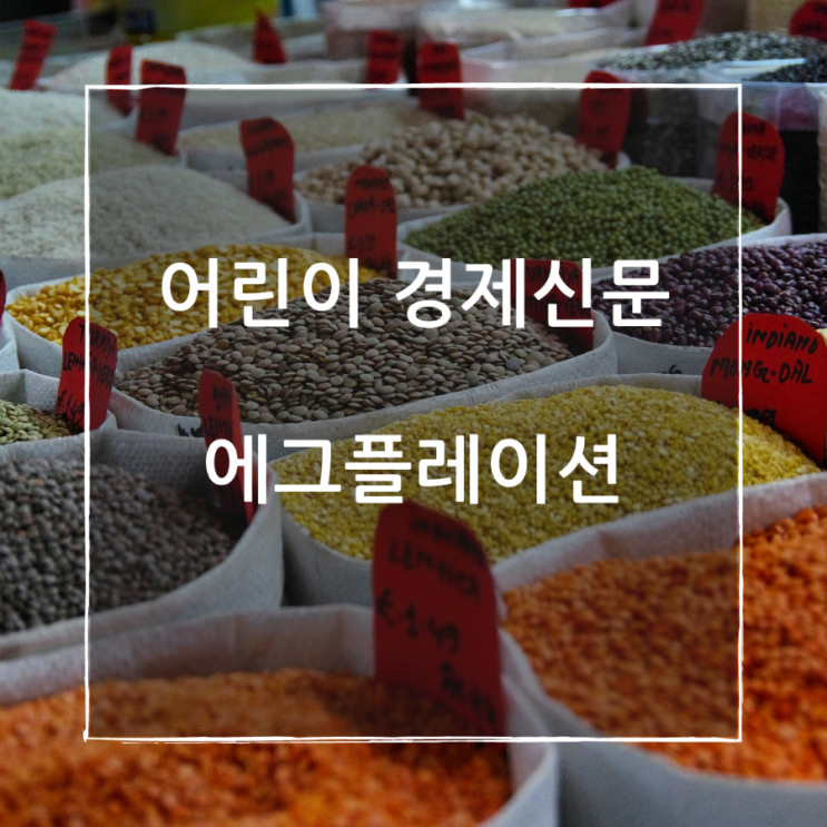  어린이 경제신문 에그플레이션