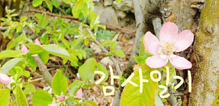  [감사 일기 5일 ] 가족 외에 나와 관련한 사람들과 관계에 감사하기