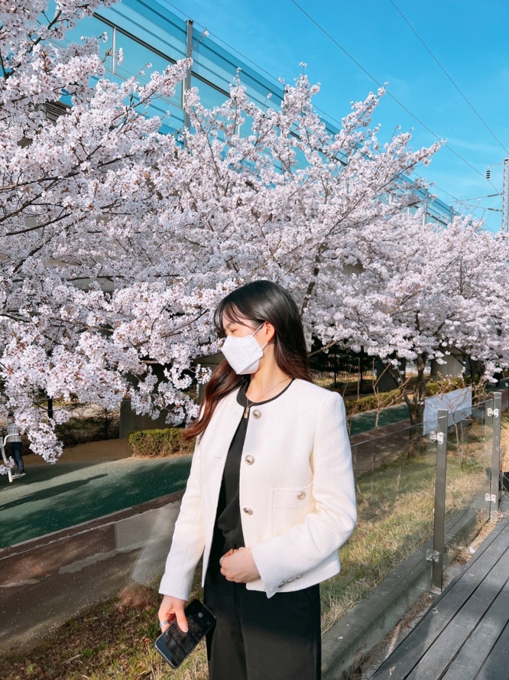  천안 아산 벚꽃뷰 카페 추천 : 샌드비 카페 후기 (feat.내돈내산)